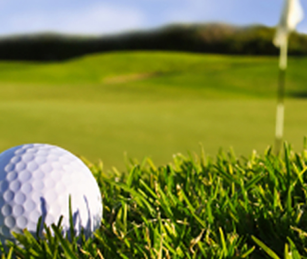 Risk Point Consulting Removing Uncertainty And Risk For Your